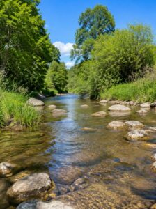 Cours d'eau en pleine nature
