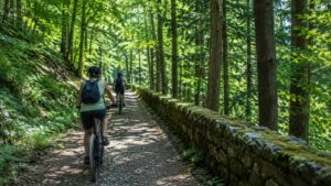 Deux cyclistes de dos sur une piste en forêt